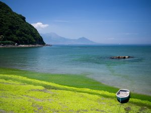 Island of Kyushu